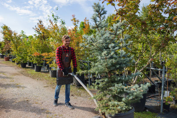 Best Tree Care Services  in Sylvan Lake, MI